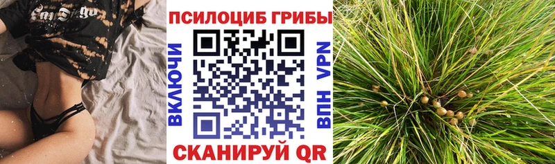 Псилоцибиновые грибы Magic Shrooms  Купить  Болохово 